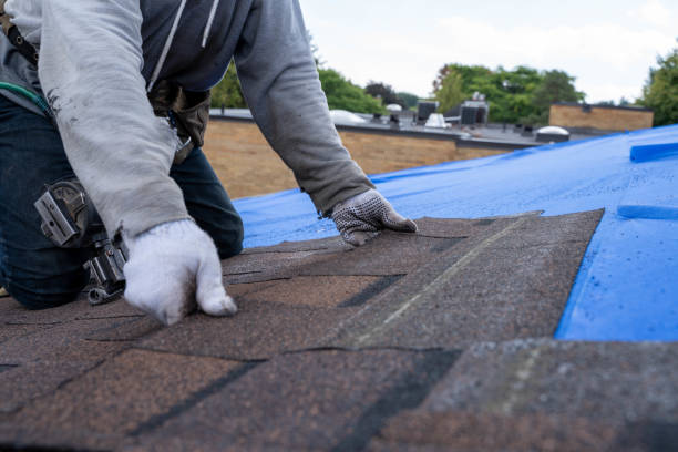 Best Roof Leak Repair  in Goodman, MS